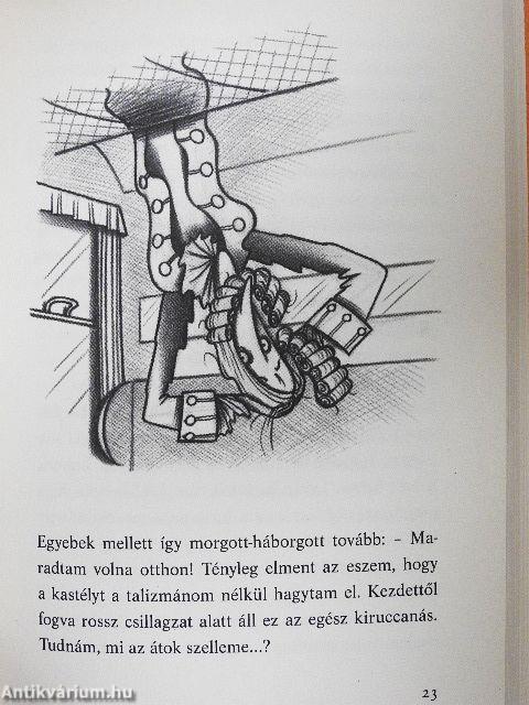 A dilinyós tűzbarát