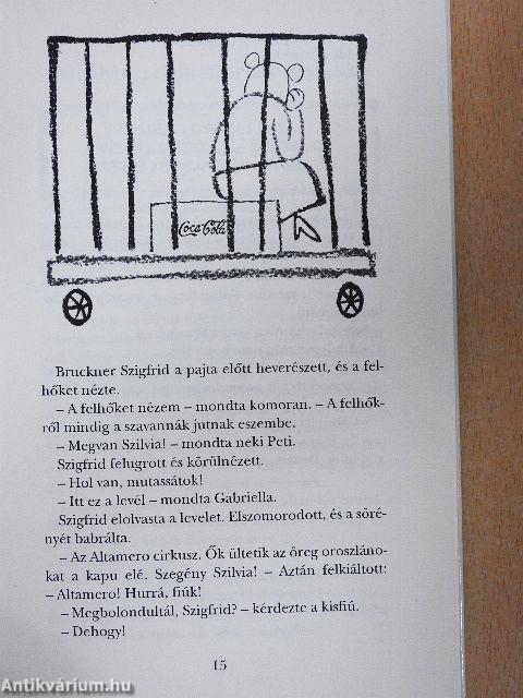 A kisfiú meg az oroszlánok