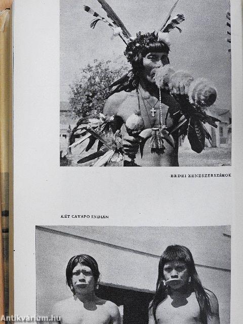 Horgászom az Amazonason