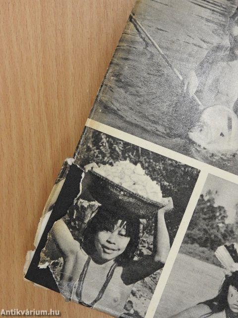 Horgászom az Amazonason