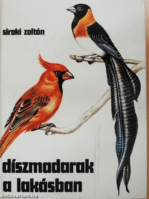 Díszmadarak a lakásban