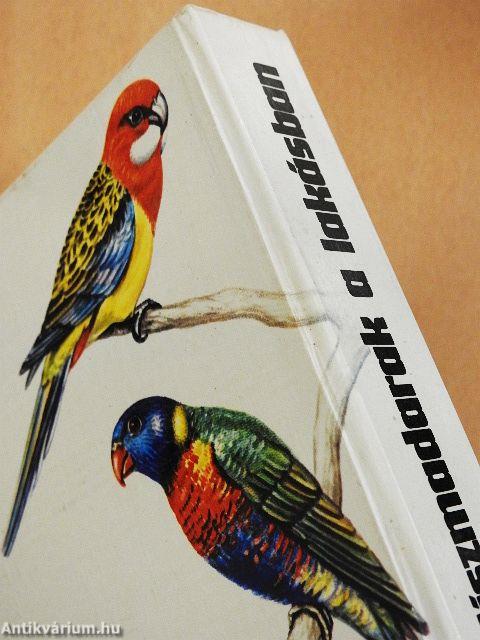 Díszmadarak a lakásban