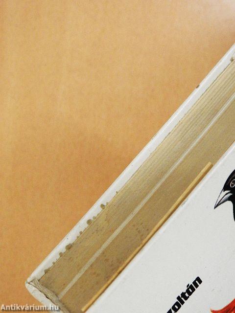 Díszmadarak a lakásban