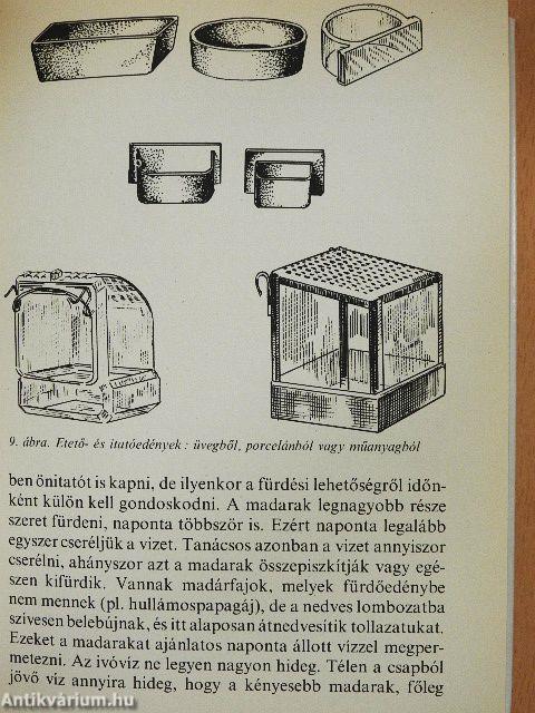 Díszmadarak a lakásban