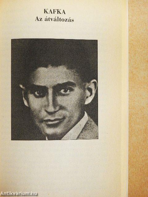 Kötelező olvasmányok tartalma és elemzése a középiskola negyedik osztálya számára