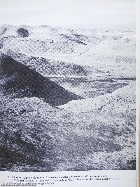 Pátriárkák és próféták