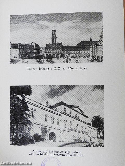 Liszt Ferenc és a lengyelek