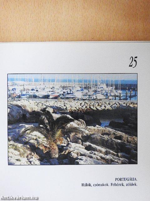 Röptében a világ körül