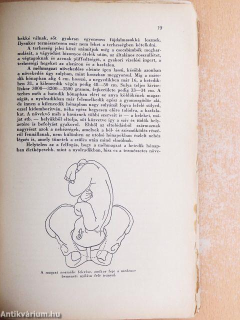 A fiatal anya
