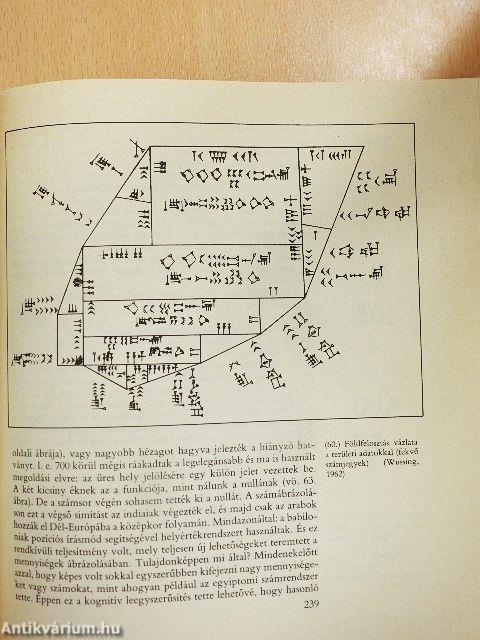 Az ébredő gondolkodás