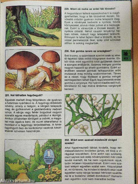 Minden napra egy kérdés