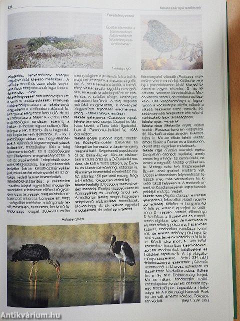 Akadémiai lexikonok - Környezetvédelem I-II. - CD-vel