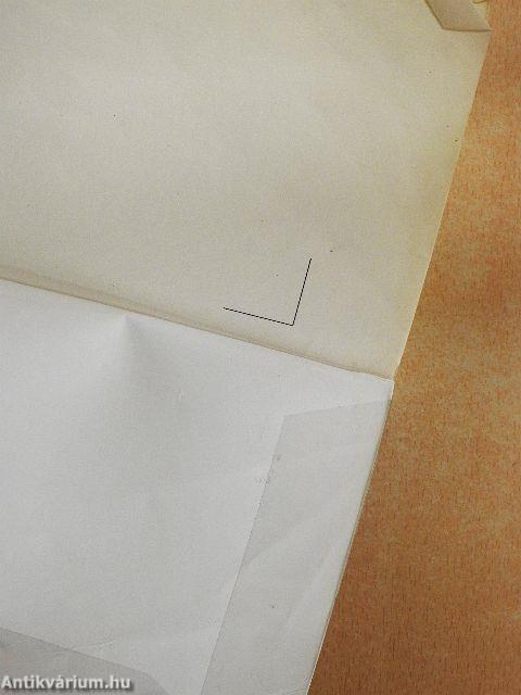 Egy "neveletlen" írónő naplója