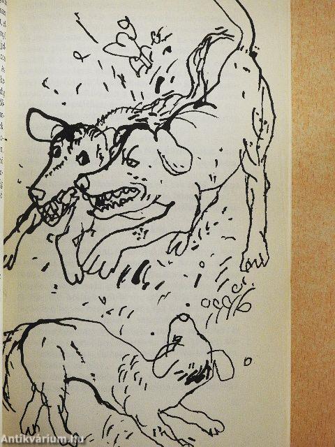 Mindenféle állatokról