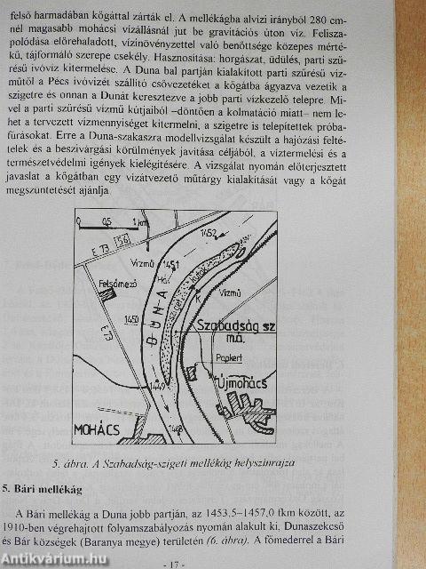 Magyarországi folyószakaszok mellékágai