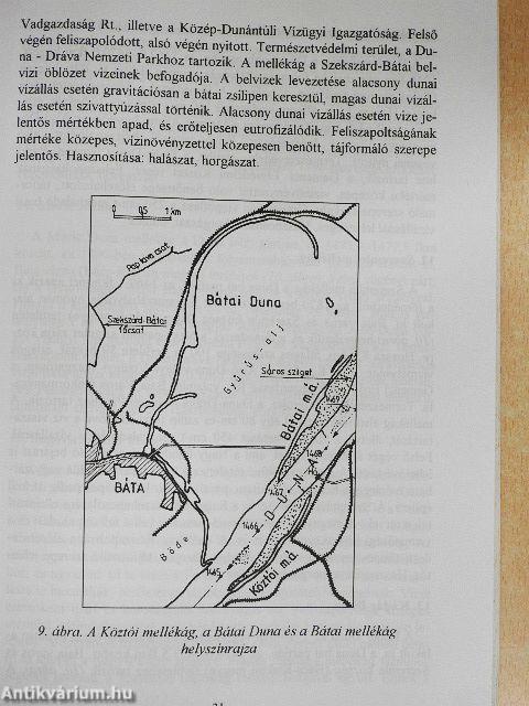 Magyarországi folyószakaszok mellékágai