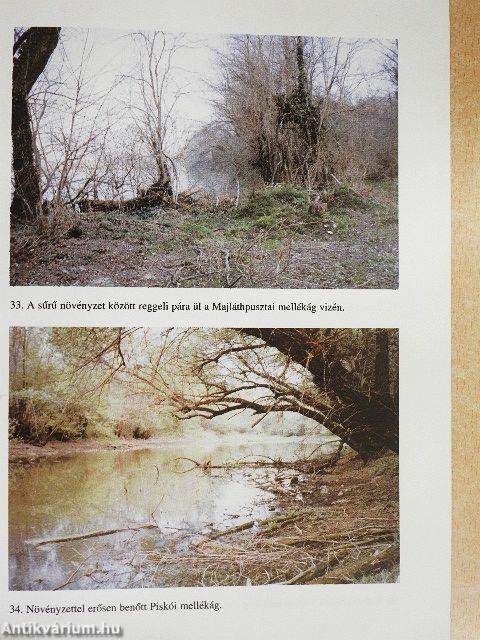 Magyarországi folyószakaszok mellékágai