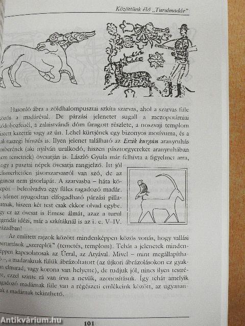 Belvedere Meridionale