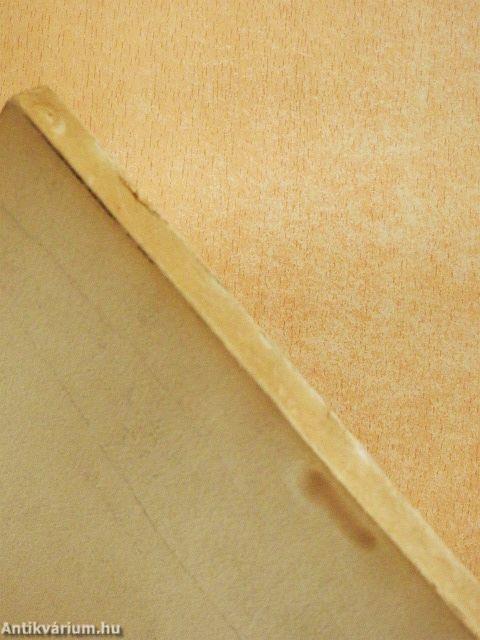 Vállalati munkavédelmi szabályzat