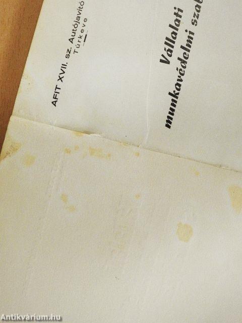 Vállalati munkavédelmi szabályzat