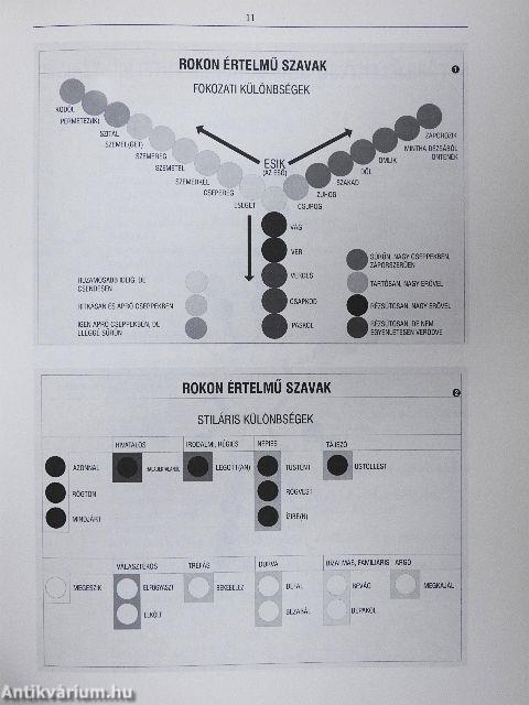 Szinonimaszótár diákoknak
