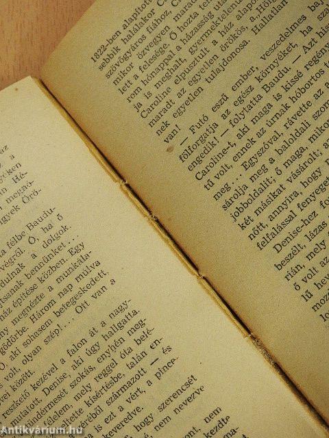 Hölgyek öröme I-II.