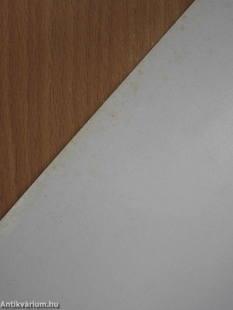 Magyarországi folyószakaszok mellékágai