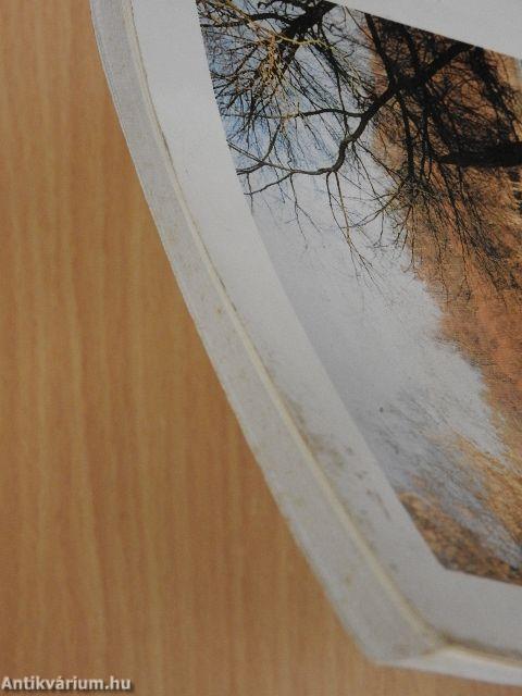 Magyarországi folyószakaszok mellékágai