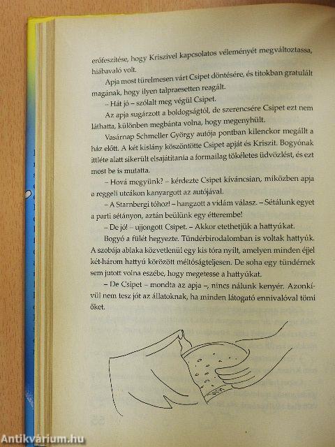 Csipet és Bogyó kalamajkát okoz