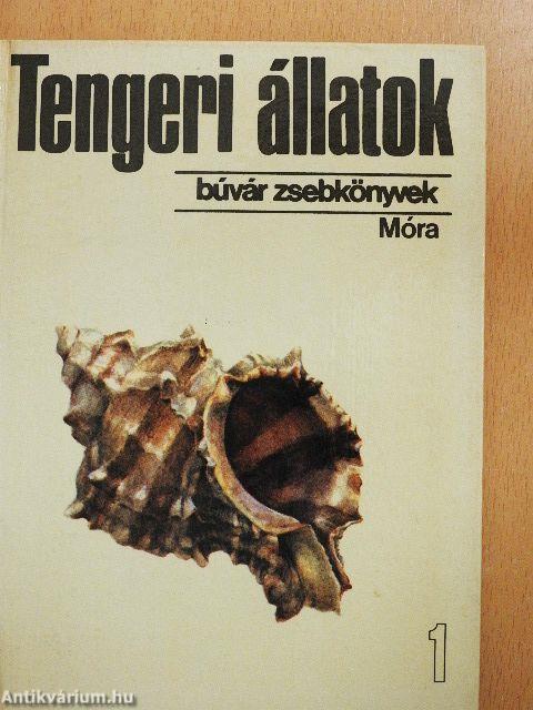 Tengeri állatok 1.
