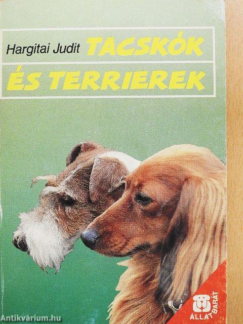 Tacskók és terrierek
