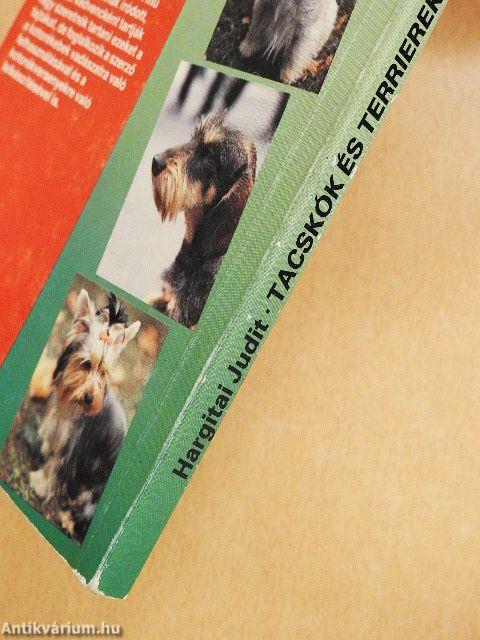 Tacskók és terrierek