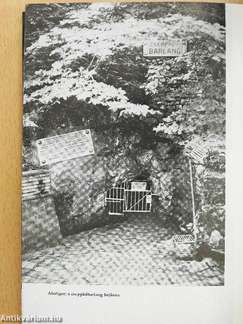 Mecsek és környéke