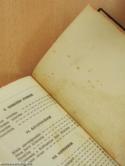 Emeljük föl szívünket!