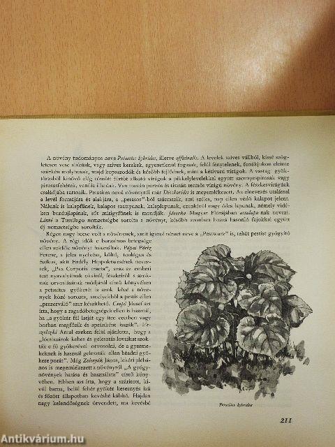 Újabb virágoskönyv