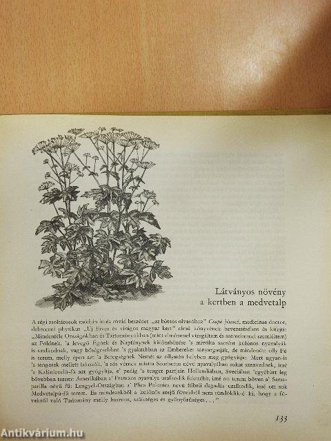 Újabb virágoskönyv