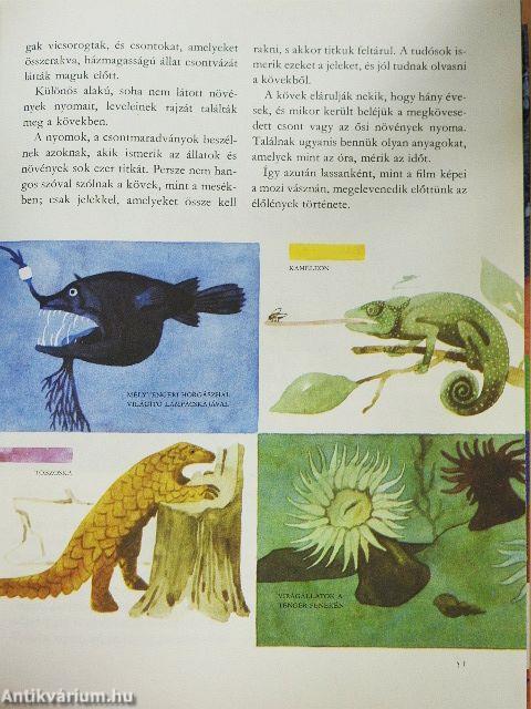 A világ és az ember
