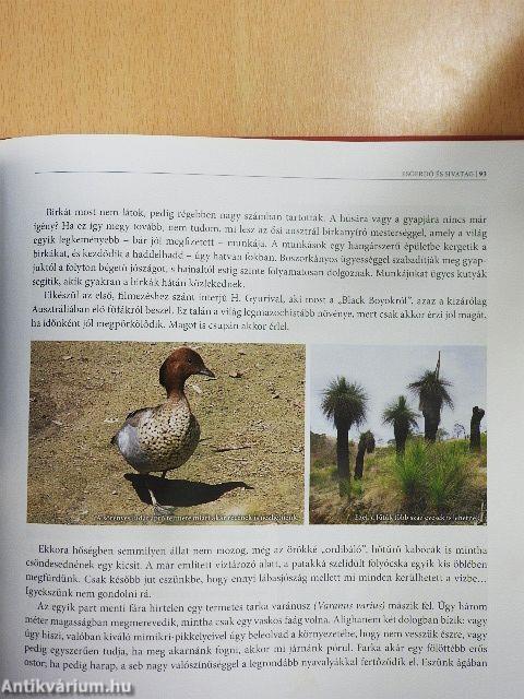 Vadállatok hazájában