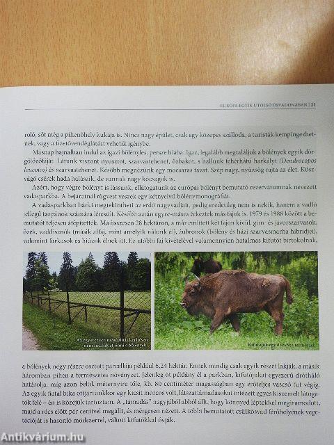 Vadállatok hazájában