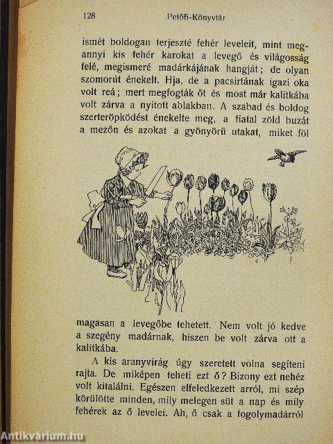 Petőfiné Szendrey Júlia költeményei és naplói/Petőfiné Szendrey Júlia eredeti elbeszélései