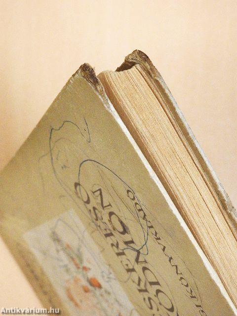 Kincskereső kisködmön