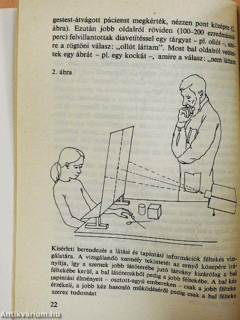 Nem tudja a jobb kéz, mit csinál a bal...