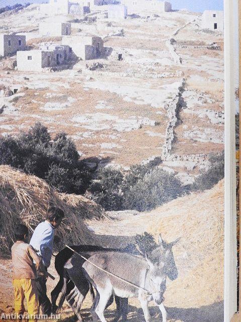 Krisztus példázatai