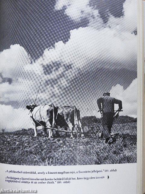 Krisztus példázatai