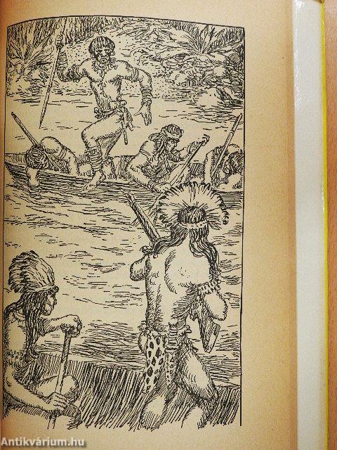 Az Orinoco folyónál