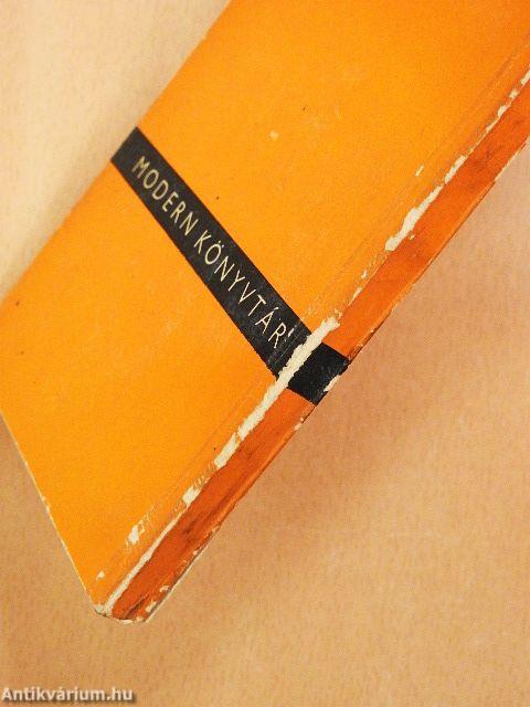 A ló és a repülő