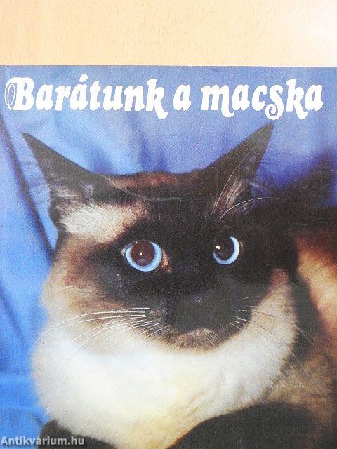 Barátunk a macska