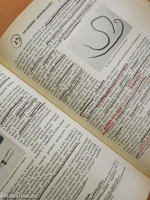 Általános és részletes járványtan