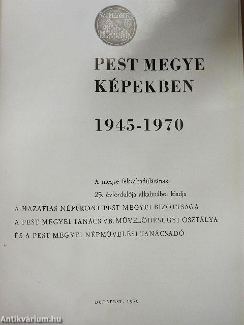 Pest megye képekben