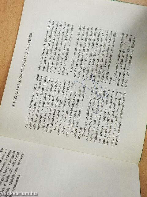 Bolhacirkusz, majomtánc